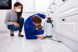 Best Real Estate Pest Inspections  in Cooperstown, NY